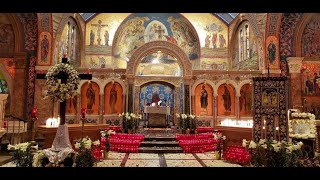 Orthros amp Divine Liturgy  Nov 8 2024  Synaxis of Archangel Michael amp the other Bodiless Powers [upl. by Eardnaed971]