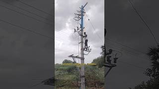 tneb worktneb contract labouro pilaka statustransformersingle pole structure work shorts [upl. by Tasiana]