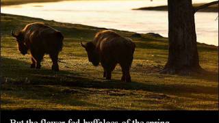 The Flowerfed Buffaloes by Vachel Lindsay [upl. by Grissel]