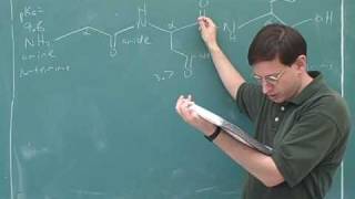 Organic chemistry Amino acids and peptides 11 [upl. by Stephenson]