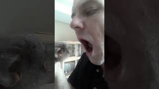 Marmoset Monkey Wants To See Inside Mouth 🤔curiousmonkey cuteanimals adorablepets [upl. by Yetsirhc]