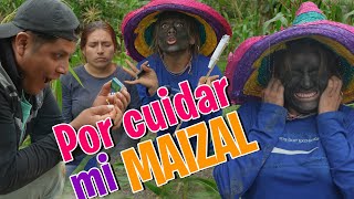 POR CUIDAR MI MAIZAL [upl. by Naoma]