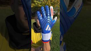 ADIDAS COPAS GOALKEEPER GLOVE 😍🧤 [upl. by Caitlin]