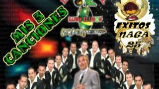 MIS 3 CANCIONESLA ORIGINAL BANDA EL LIMONEXITOS NAGA 25flv [upl. by Anaele515]