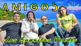 AMIGOS  LOS ENANITOS VERDES KaraOke HD [upl. by Vassily]