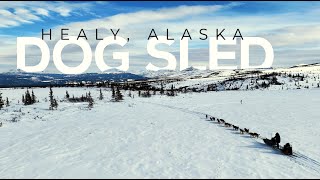 Dog sledding in Healy Alaska  Outer range Dogsled tours  What to expect  Season Alaska 4K [upl. by Chae]