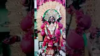 vairab pujo special dorson mahakal dorbar aghori sibananda Maharaj ji [upl. by Enelime]