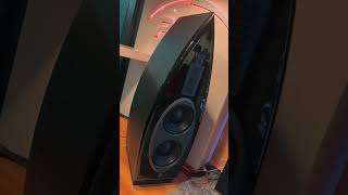 Warsaw Audio Video Show 2024 🔥 hifi loudspeaker music hifiaudio sound hifisound hifistereo [upl. by Nahshu]