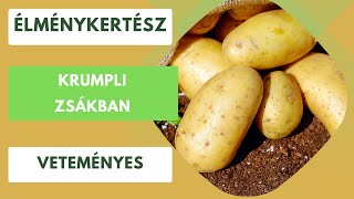 Krumpli termesztése zsákban🥔 [upl. by Rina]