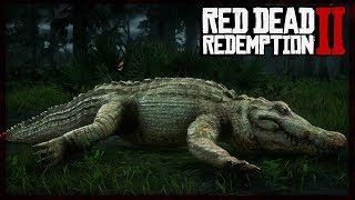 Red Dead Redemption 2 Hunting The Bull Gator STRONGEST ANIMAL INGAME RDR2 Hunting [upl. by Aehsat]