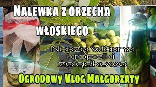 Nalewka z orzecha włoskiego nasze własne kropelki żołądkowe [upl. by Mechling]