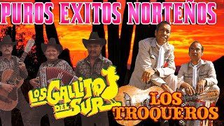 LOS GALLITOS DEL SUR LOS TROQUEROS  Puros Exitos Norteños Solo Lo Mejor [upl. by Josepha564]