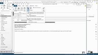 How To Use the Translation Features of Microsoft Outlook [upl. by Tennies]