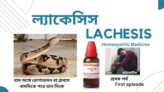 Lachesis  ল্যাকেসিস  Materia Medica  Learn Lachesis easily [upl. by Nodyarb]