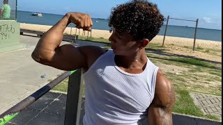 40 cm de Braço na Calistenia  Treino Costa e Biceps [upl. by Ysak]