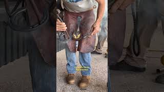 Hot shoeing a horse [upl. by Avert]