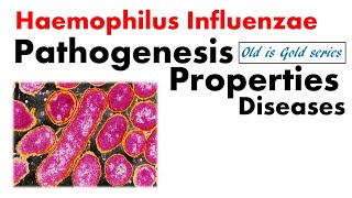 Haemophilus influenzae Microbiology  pathogenesis Culture lab diagnosis [upl. by Licha]