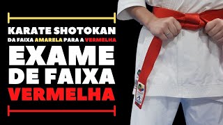 Da Amarela para a Vermelha EXAME DE FAIXA VERMELHA  Karate Shotokan [upl. by Leber]