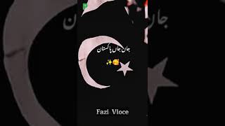 Dil Dil Pakistan Song Lyrics  Sing Along Now 🎤  Fazi vioce shorts [upl. by Turnbull]