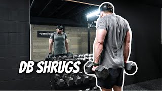 How To Do Dumbbell Shrugs For Meaty Traps [upl. by Leruj43]