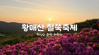 황매산 철쭉축제 지금이 절정 입니다 5월에 가볼만한곳 합천여행 산청여행 [upl. by Labannah]