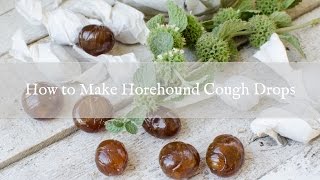 How to Make Horehound Cough Drops [upl. by Amaris]