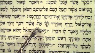 Haftorah Haftarah Reading for Parsha Zachor Amalek before Purim הפטרת זכור קריאה לפני פורים [upl. by Yelnik]