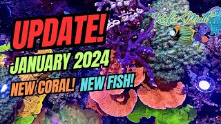 January 2024 Reef Tank Updates New Coral New Fish and New Equipment [upl. by Leasi]