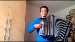 simon oberhammer steirische Harmonika der haarige [upl. by Notlimah]