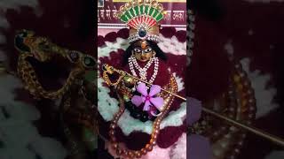 Laddu gopal pyara lagalovestatus krishnabhajan ❤️❤️❤️🥰 [upl. by Anniken]