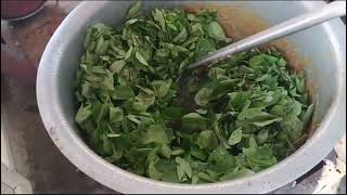 gongura pacchisenga Pappu 👌🏻👌🏻🫶🏻 [upl. by Ennirac]