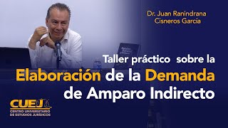 Taller práctico sobre la Elaboración de la Demanda de Amparo Indirecto [upl. by Akemed]