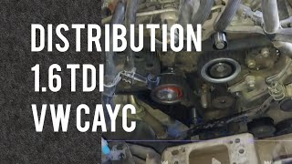 16 TDI timing belt replacement  changement kit distribution Zahnriemenwechsel [upl. by Eidorb151]