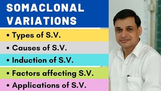 Somaclonal variations  their types causes induction and applications [upl. by Airetnohs]