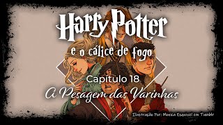 Harry Potter e o Cálice de Fogo  Capitulo 18  A Pesagem das Varinhas [upl. by Latsyrhk523]