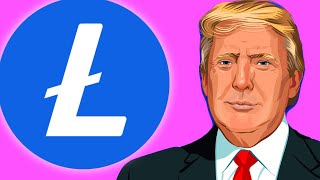 LTC Crypto Arbitrage StepbyStep Guide 2024 [upl. by Brandwein]