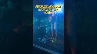 Steve N seagulls ‘November rain’ part 1 stevenseagulls novemberrain livemusic [upl. by Adianes]