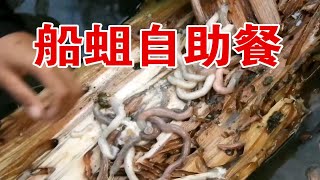 【菲律宾船蛆】自助餐！重口慎入 [upl. by Araldo]