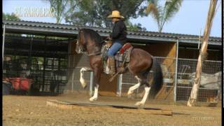 RANCHO NIEVES CABALLO IBERO [upl. by Rodina]