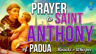 🌿 Miracles Whisper A Prayer to Saint Anthony [upl. by Erskine]