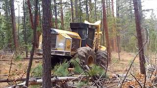 hydroaxe 670 feller buncher cutting trees [upl. by Aiyekal]