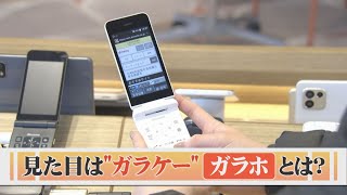 「ガラケー」×「スマホ」…４Ｇ対応の「ガラホ」が普及 [upl. by Atteugram800]