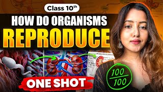 CLASS 10 HOW DO ORGANISMS REPRODUCE  BIOLOGY CLASS 10  SHUBHAM PATHAK science cbseclass10 bio [upl. by Ainyt]