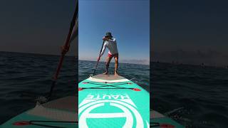 Paddleboarding Freedom on the Water 🏄‍♂️ paddleboarding sup watersports adventure sea sealife [upl. by Ilrak]