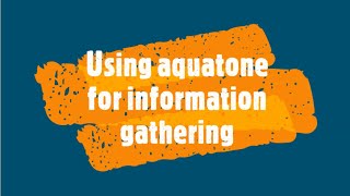 How To Use Aquatone For Information Gathering About A Target [upl. by Atews]