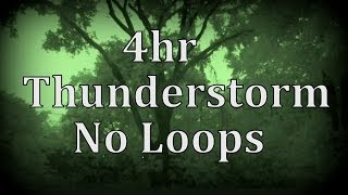 4hr Thunderstorm with No Loops quotSleep Soundsquot [upl. by Akinek]