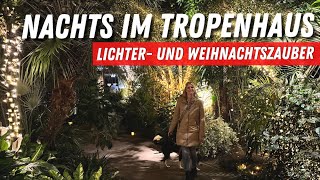 Lichter amp Weihnachtszauber ✨🤩Nachts im Tropenhaus ➡️ Emsflower by night Erlebnispark Emsbühren [upl. by Tom]