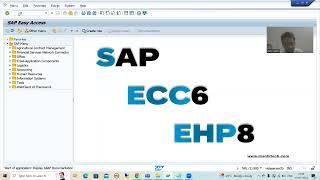 116  Additional ABAP Concepts  SAP ABAP Released Versions [upl. by Nemrak]