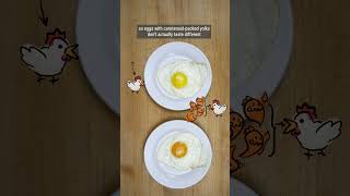 The truth about egg yolk color [upl. by Necila]