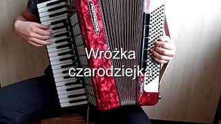 Wróżka czarodziejka akordeon cover [upl. by Vani]